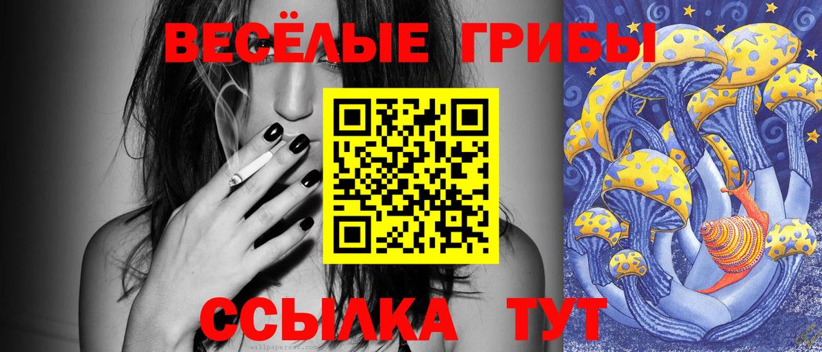 Галлюциногенные грибы Psilocybine cubensis  Вход с VPN  Псилоцибиновые грибы MAGIC MUSHROOMS  Вятские Поляны 