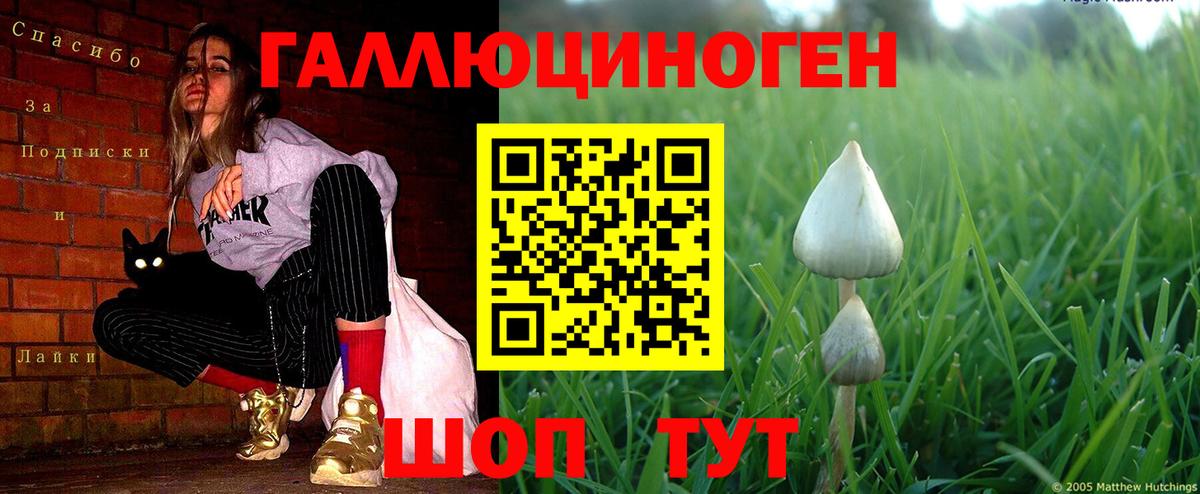 Псилоцибиновые грибы мухоморы Вятские Поляны